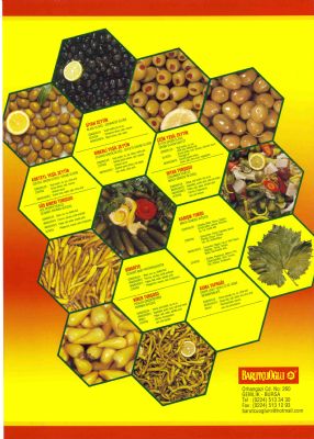 dogan ticaret erdogan barutcuoglu - barutuolu, inaat, bursa, gemlik, uib, ihracat, zeytin, 