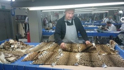 Beyaz tilki kürkevi - 