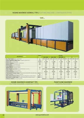 G Makine Ltd. ti. - Faaliyet Konusu: FirmamIz EPS (  Strafor )  retim makinelerini imal edip,  anahtar teslimi tesisler