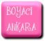 38986 -  Ankara Boyac