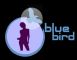 52713 - Blue Bird