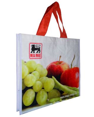 seragreenbags - non_woven bez anta elyaf anta tela anta geri dnml anta eczane antas fuar antas organza