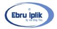 EBRU PLK  VE DI TCARET