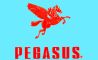 13889 - pegasus karakas