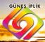 14156 - Gne Fantazi iplik Tekstil San Tic Ltd ti.