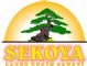 SEKOYA DESEN LAZER KESM SANAY