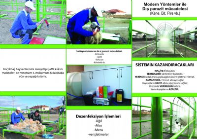 HAYSS PROFESYONEL HAYVANCILIK LTD.T. - 