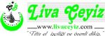 31101 - LiVA �EYiZ