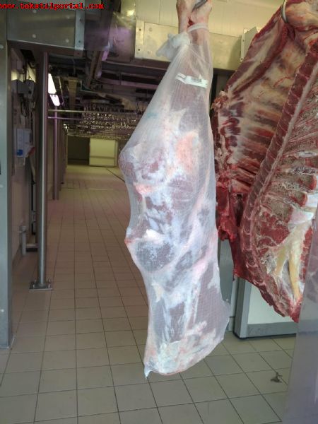Elastic meat netting manufacturer.<br><br>In Istanbul, the manufacturer of Elastic meat netting, forming netting for meat.<br>nets for meat wholesale supply to anywhere in the world.<br><br><br>