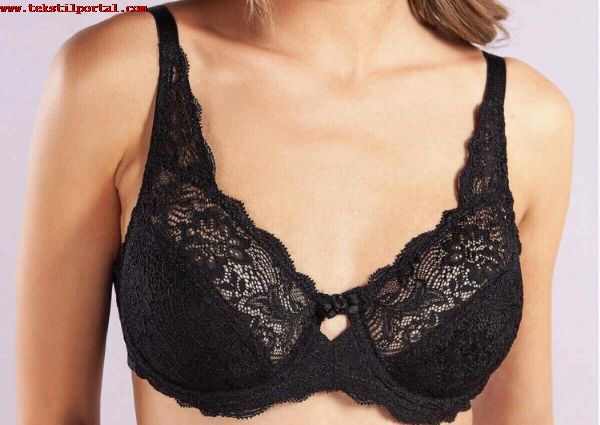 Img No:257636