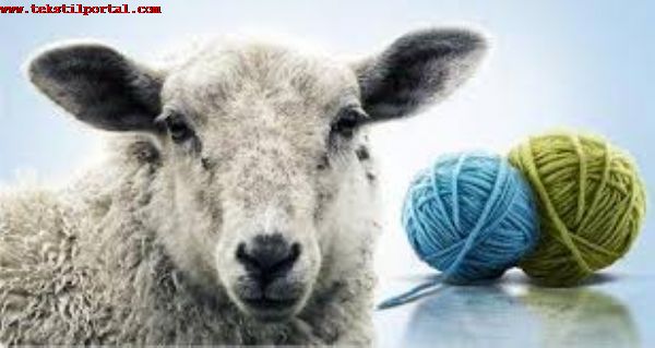 8 Tons of sheep wool will be sold