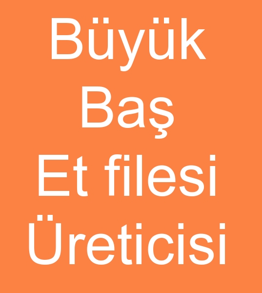 kasab et filesi, mezbafa filesi, mezbaha et filesi, stokinet file, Dana et fileleri, dana et kefenleri, bykba et kefeleri,