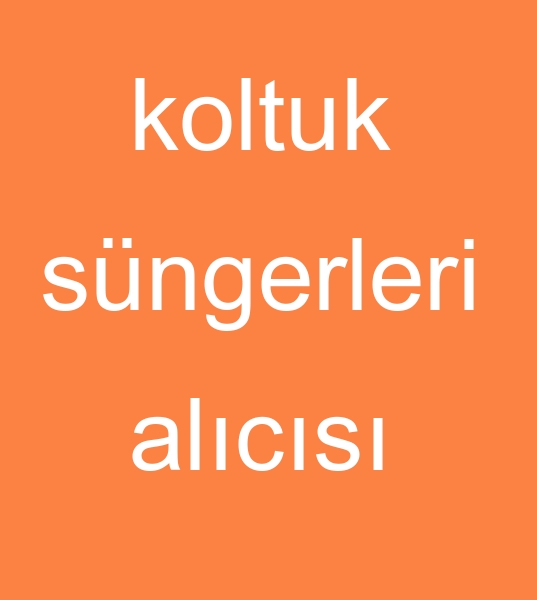 koltuk sngerleri alcs