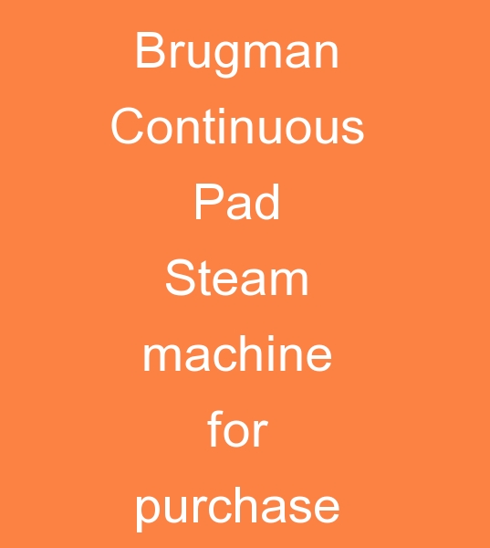 Brugman Painting machine, Brugman Painting machines, Brugman Steam Painting machine  