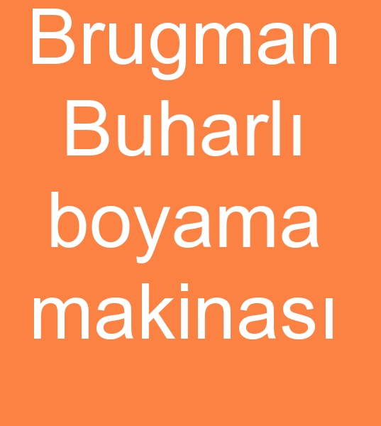 Brugman Pad steam Buharl boyama maknas