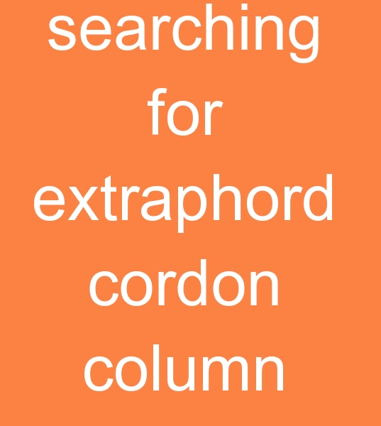 Customer from Azerbaijan searching for extraphord, cordon, column 50000 m  
