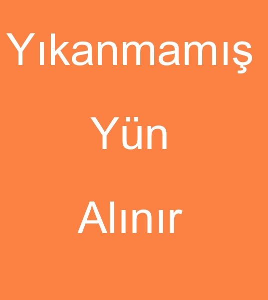 ykanmam koyun yn alcs, Ykanmam koyun ynleri alanlar