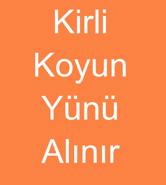 Kirli koyun yn alcs, Kirli koyun ynleri alanlar,  kirli koyun yn mterisi