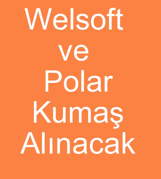 Welsoft kuma alcs, Welsoft kuma mterisi, Polar kuma alcs, Polar kuma mterisi
