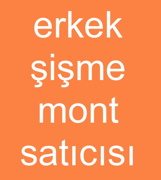 Resim No:174795