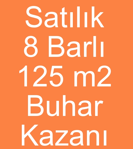 doalgazl Buhar kazan satanlar, 8 barl Buhar kazan satcs, 125 m2 Buhar kazan satcs,