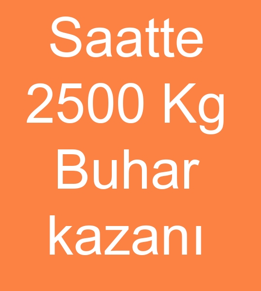 kinci el 2500 kg buhar kazanlar, Satlk 2500 kg Doalgazl Buhar kazanlar, kinci el 2500 kg Doalgazl buhar kazan,