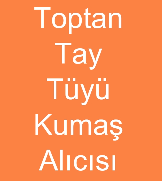 Demelik tay ty kuma kullancs, Toptan Demelik tay ty kuma alcs,