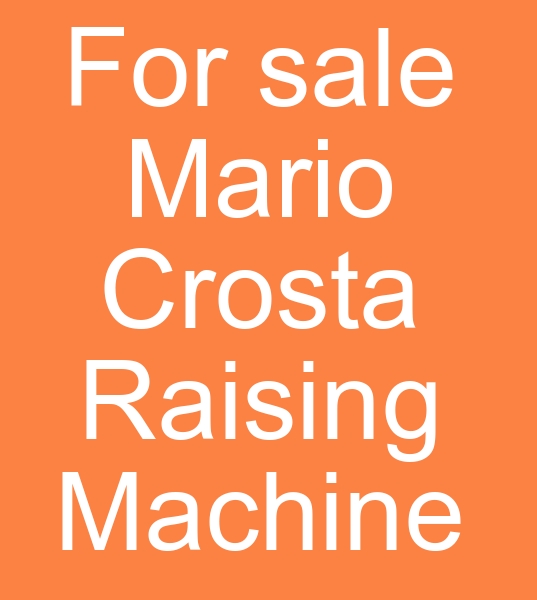 For sale Mario Crosta Raising machine, Used Double drum Mario Crosta Raising machine,