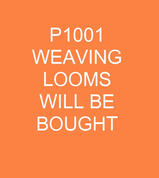 VAMATEX P1001 WEAVING MACHINES WILL BE BOUGHT