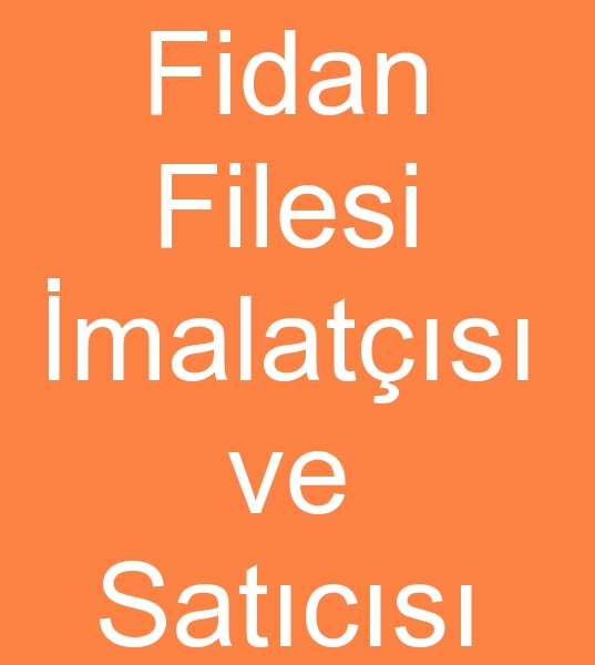 Fidan fileleri toptan satcs, Toptan Fidan fileleri satcs