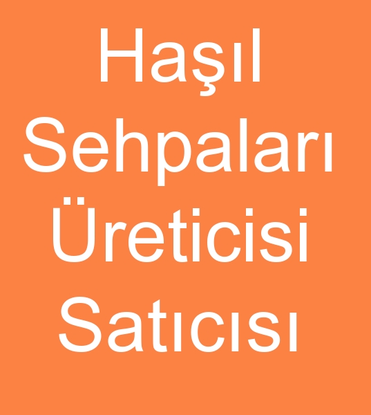 Satlk hal tezgahlar, Hal sehpas satcs, 