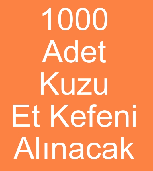 Toptan Kuzu et kefeni siparii
