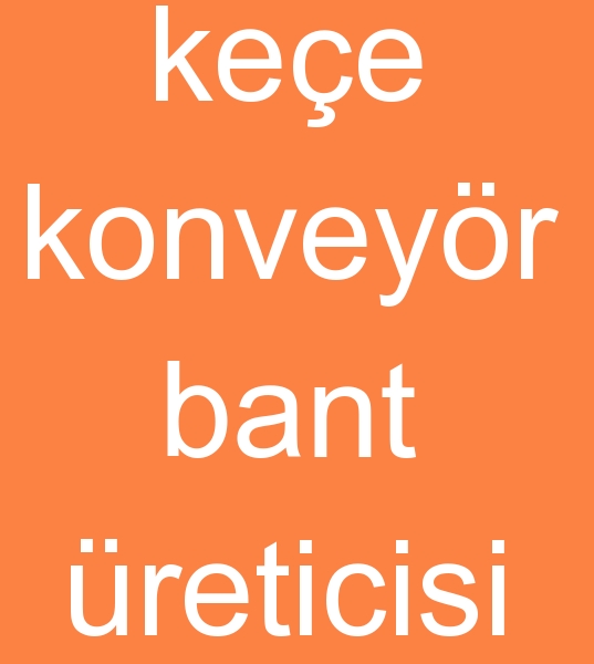 Resim No:173863